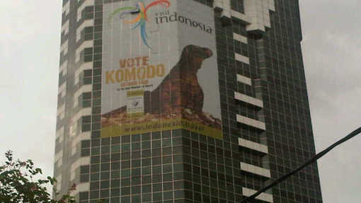 dragon201210.jpg