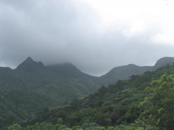 el_yunque_195.jpg