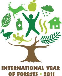 Year of Forests is good news for many finalists