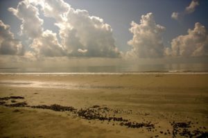 Branding Bangladesh with the success of the Sunderbans
