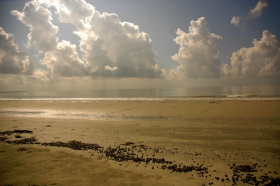 Mudflat_and_clouds_in_Sundarbans-560x372.jpg