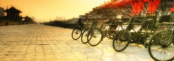 ss_10-700x245-560x196.jpg